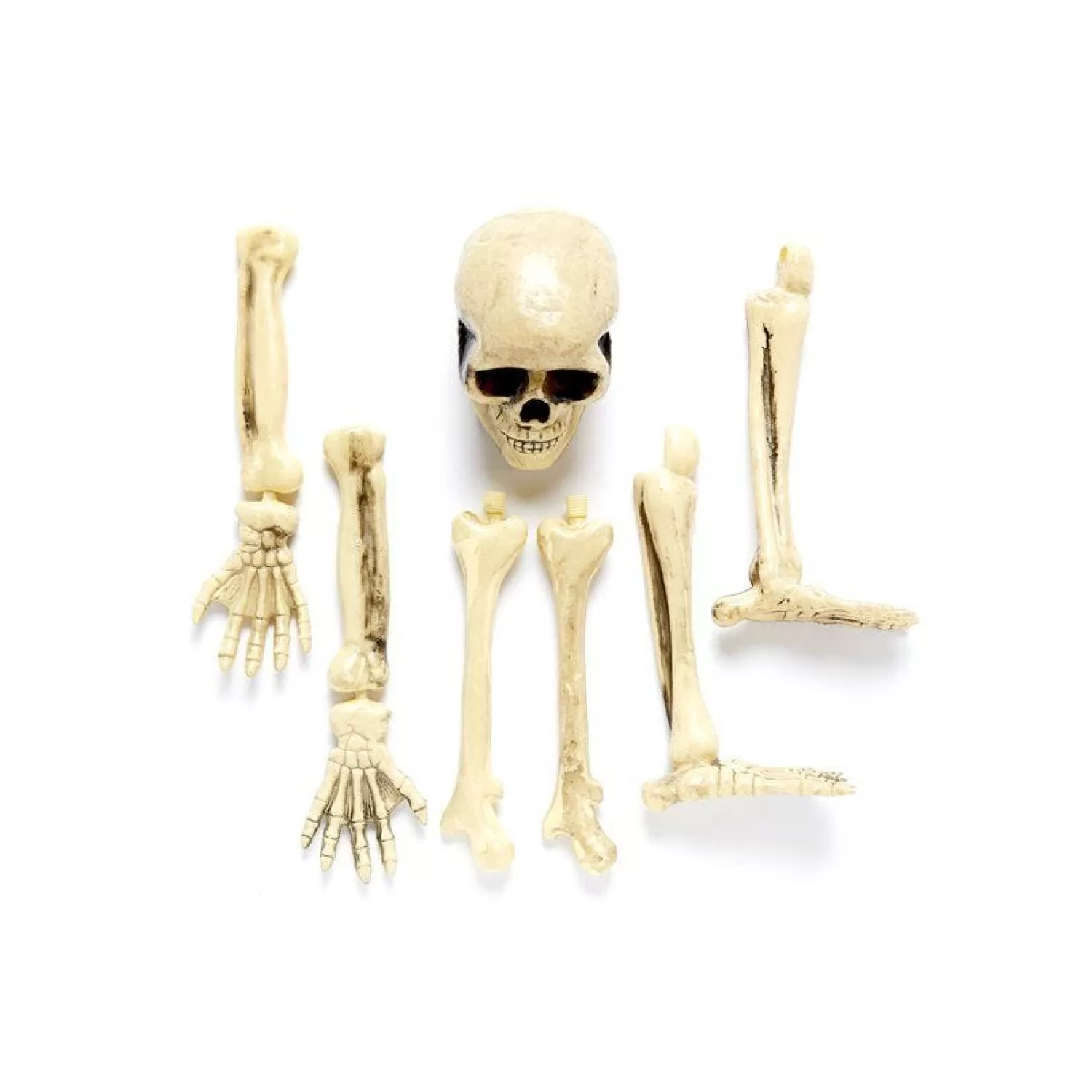 3D Skeleton Groundbreaker<Party Delights New