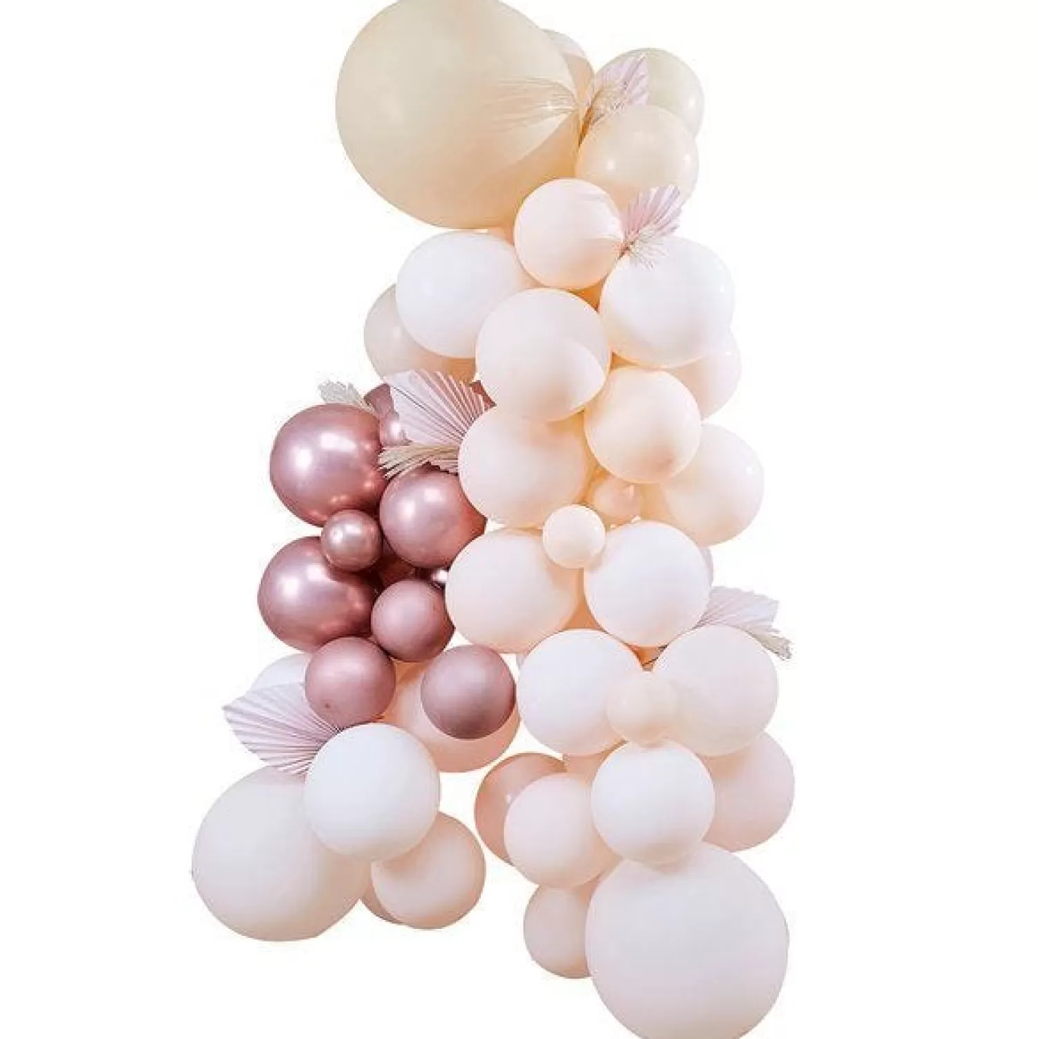 Hot Party Delights A Touch Of Pampas Balloon Arch Kit - 70 Balloons