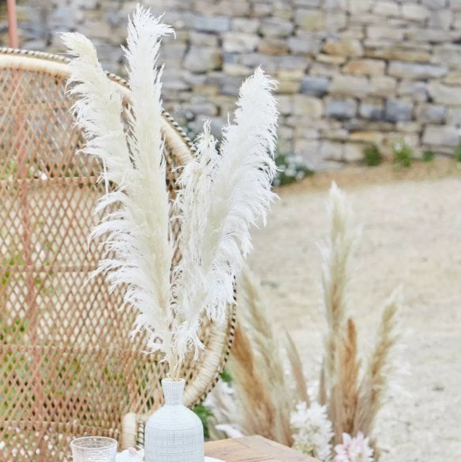 Best Party Delights A Touch Of Pampas Bleached Pampas Grass (5Pk)