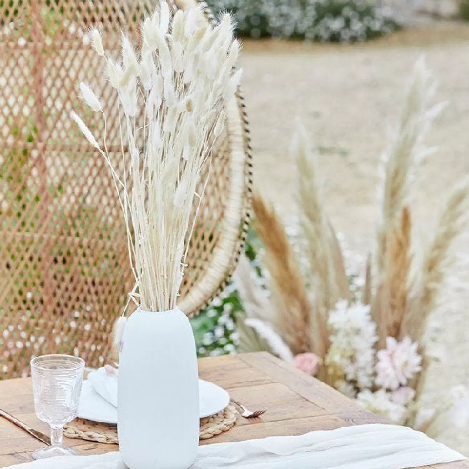 Flash Sale Party Delights A Touch Of Pampas Off White Dried Bunny Tail Grass (20Pk)