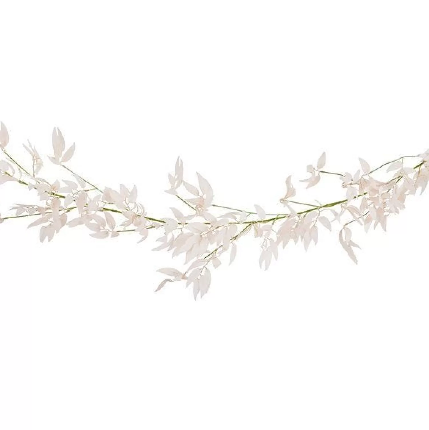 Store Party Delights A Touch Of Pampas Pink Rucus Garland