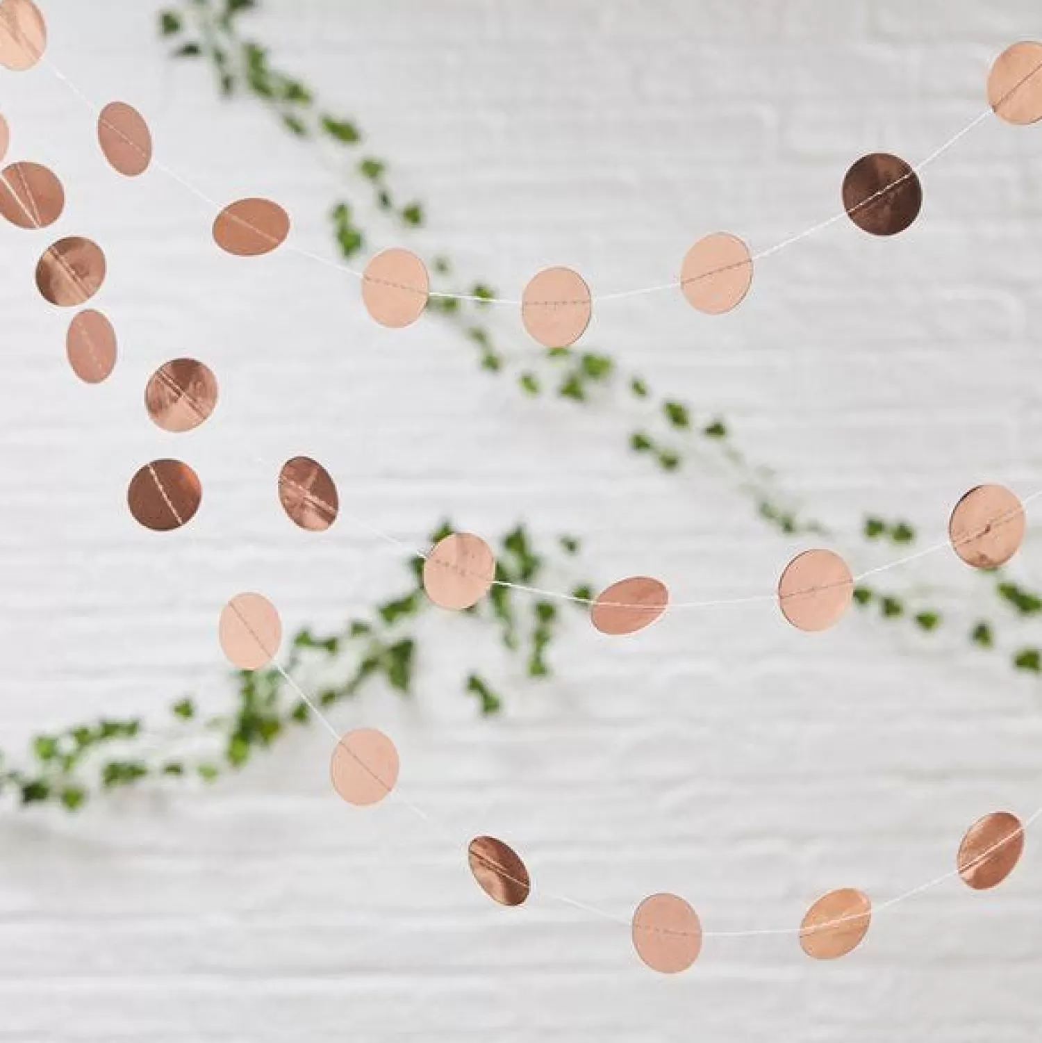 Cheap Party Delights Beautiful Botanics Rose Gold Circle Garland - 5M