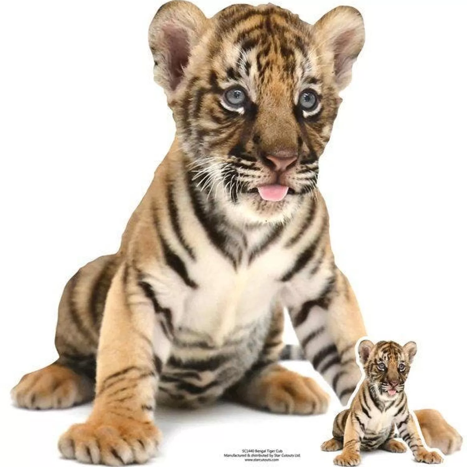 Outlet Party Delights Bengal Tiger Cub Cardboard Cutout - 73Cm X 73Cm