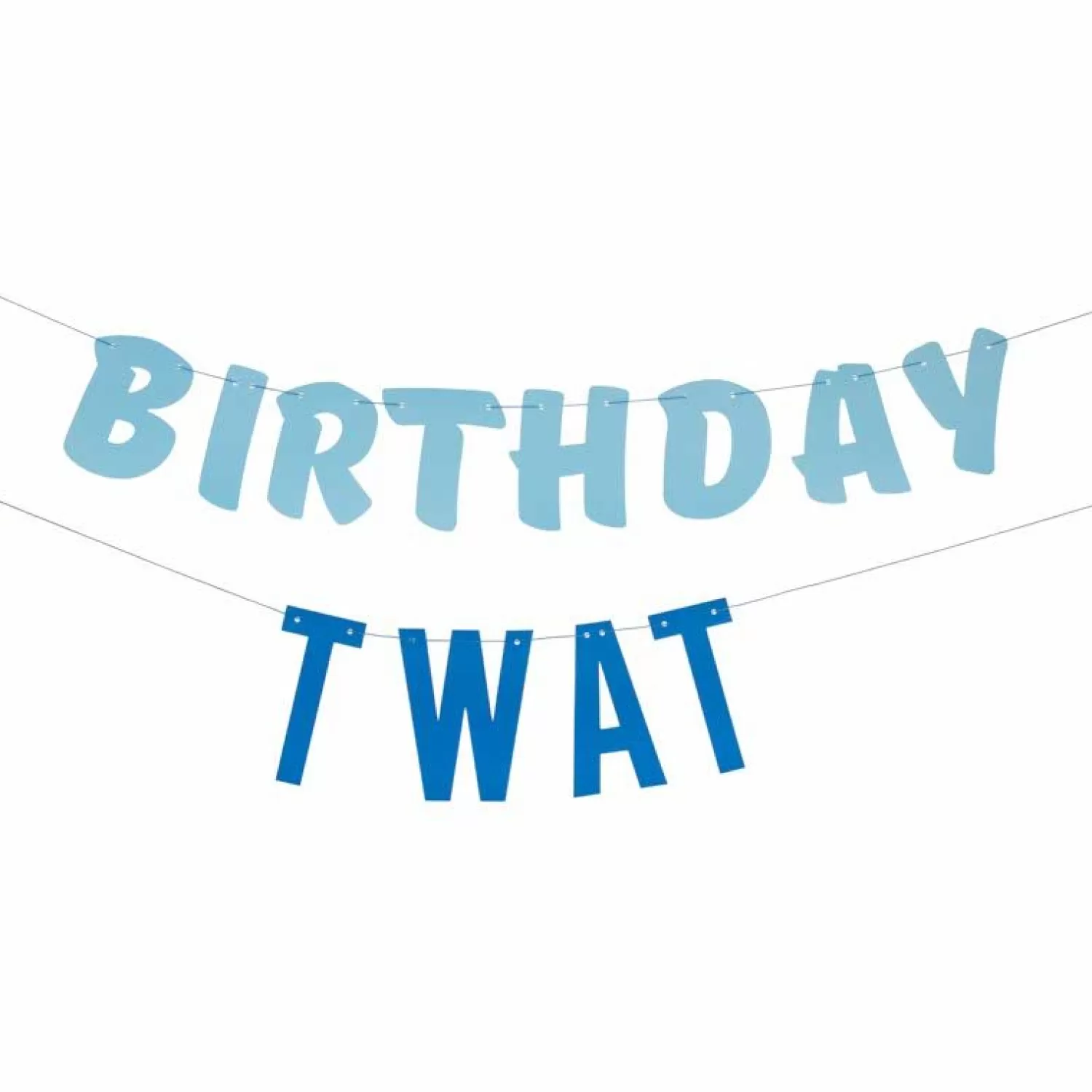 Store Party Delights Blue Birthday Twat Paper Banner - 1.5M