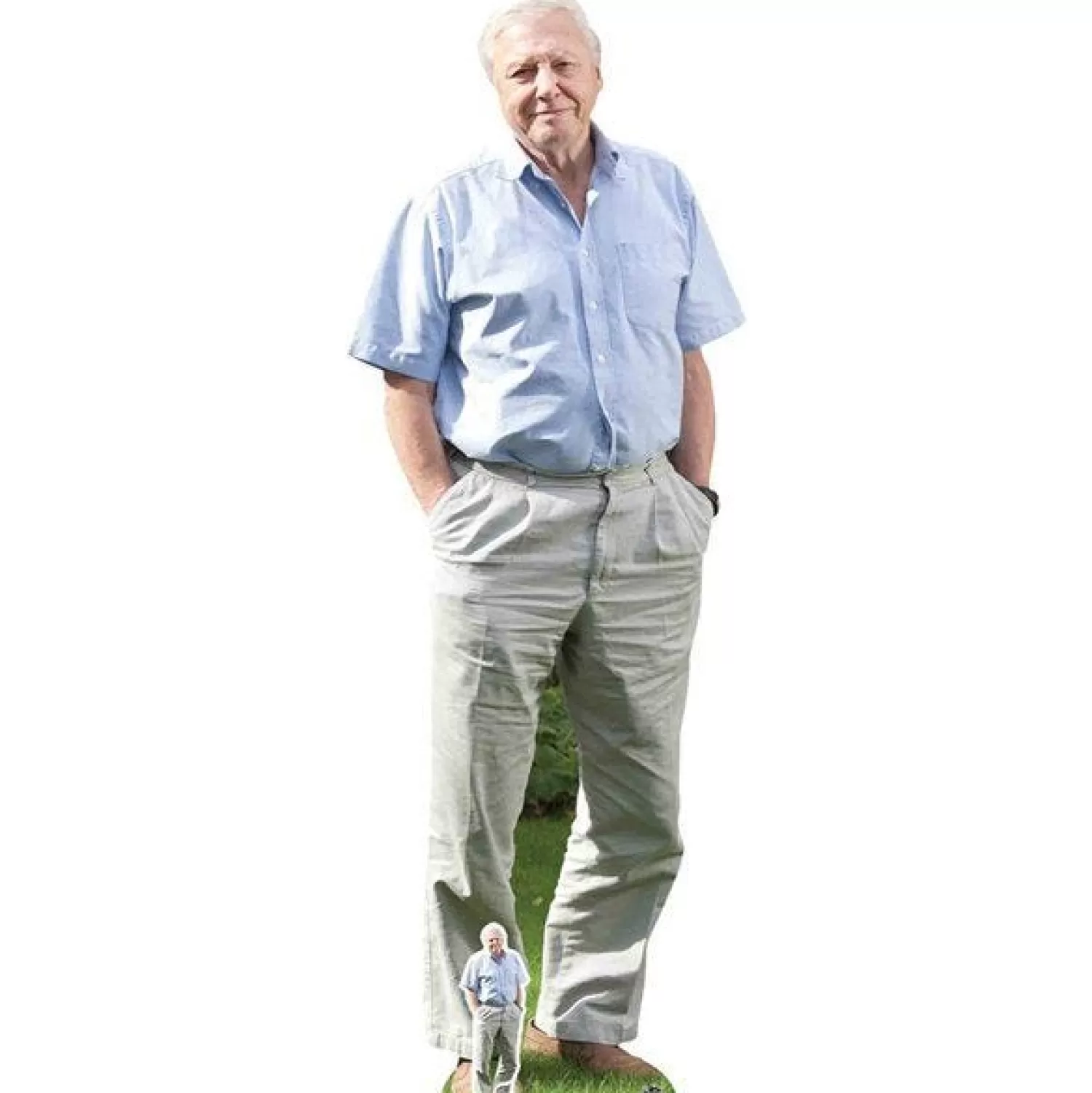 Best Party Delights David Attenborough Cardboard Cutout - 178Cm X 63Cm