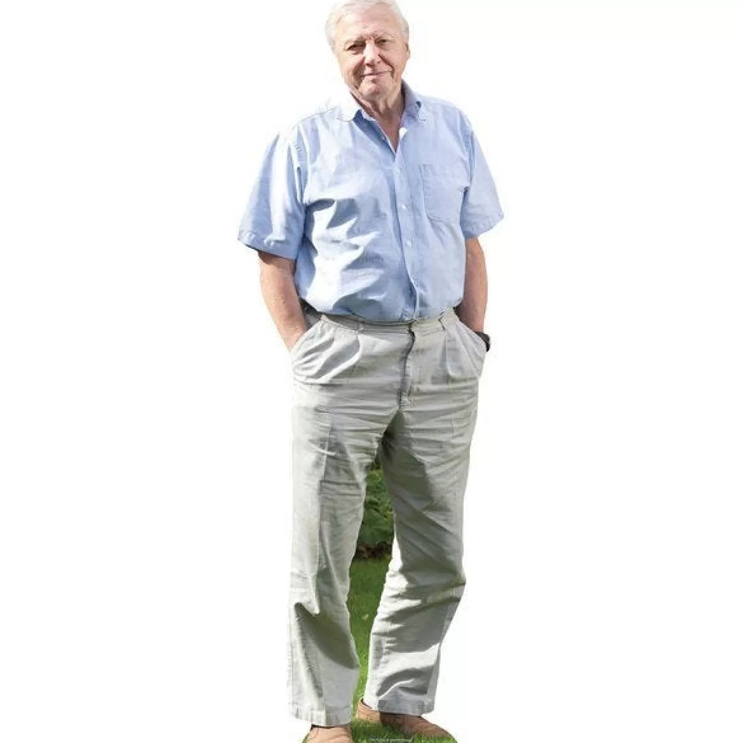 Outlet Party Delights David Attenborough Cardboard Cutout - 90Cm X 31Cm