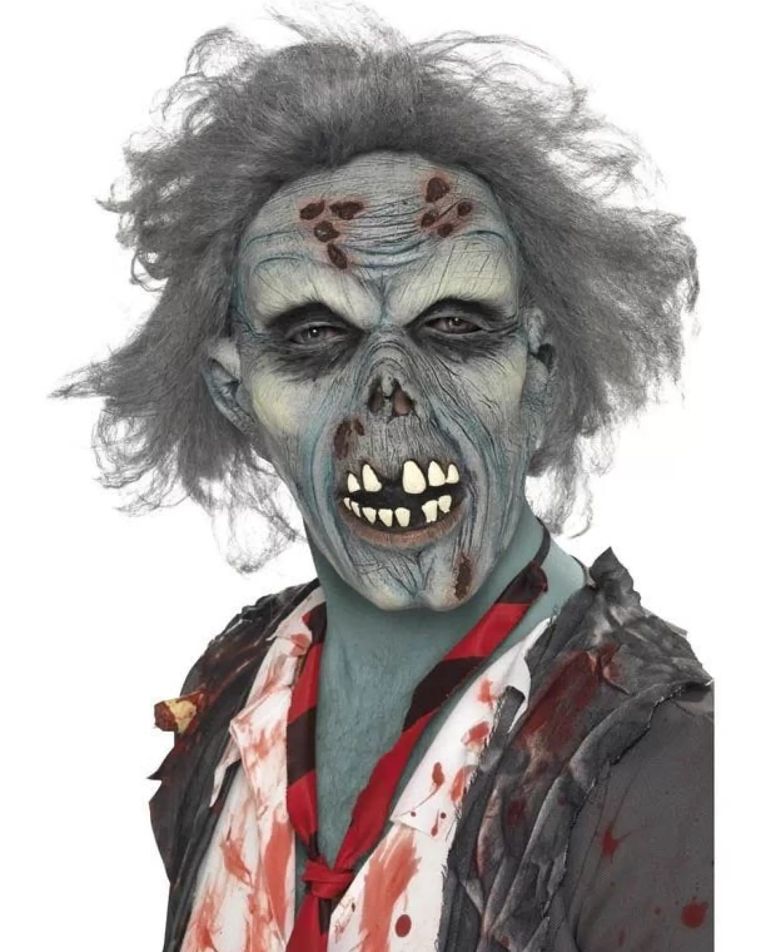 Decaying Zombie Mask With Hair<Party Delights Cheap