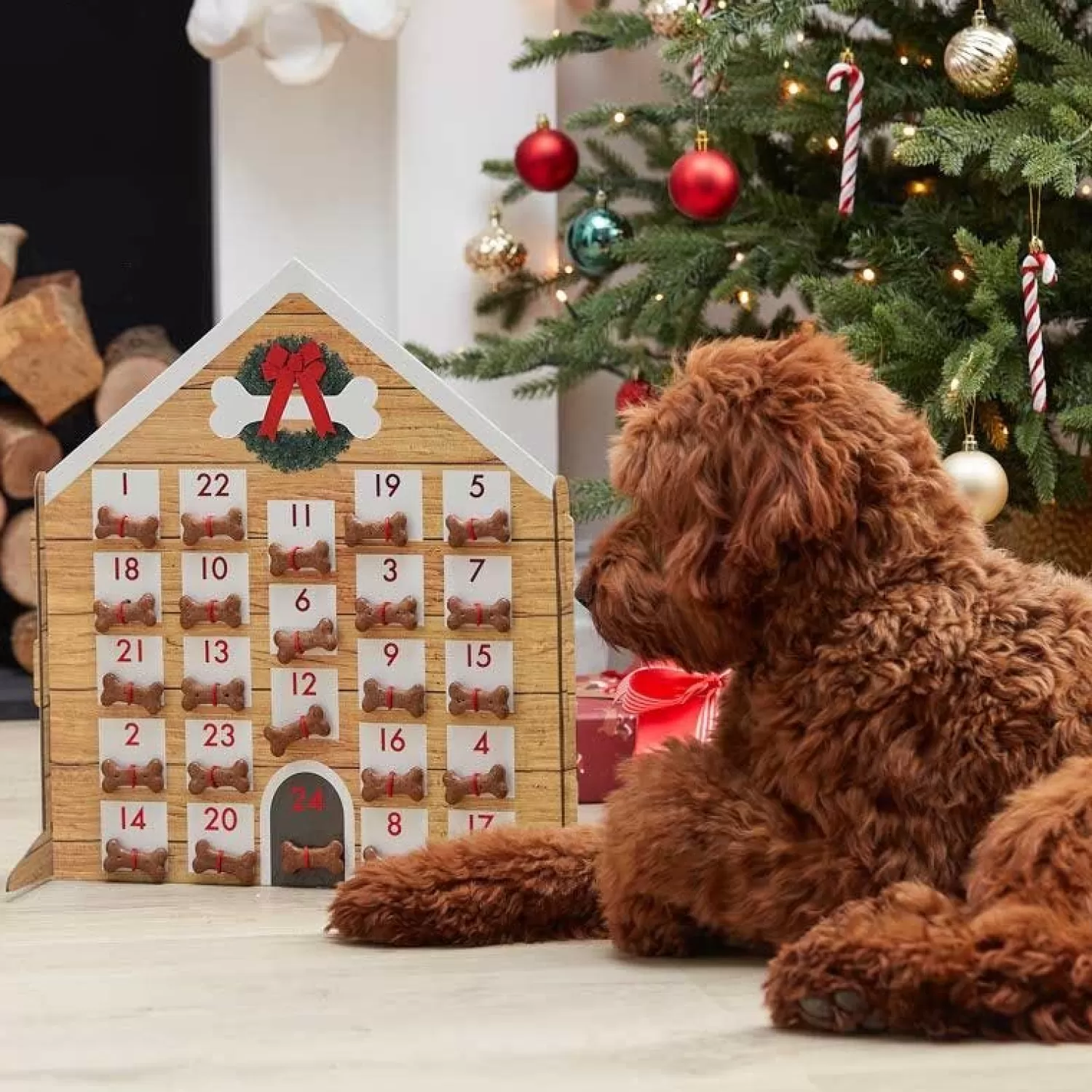 Dog Kennel Fill Your Own Advent Calendar - 45Cm<Party Delights Shop