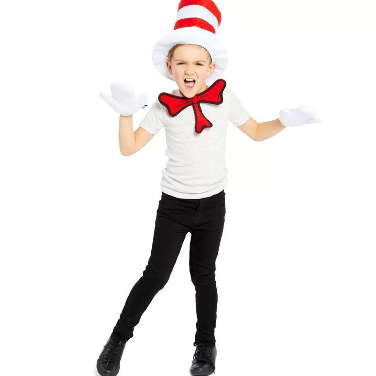 Best Party Delights Dr Seuss Cat In The Hat Accessory Kit