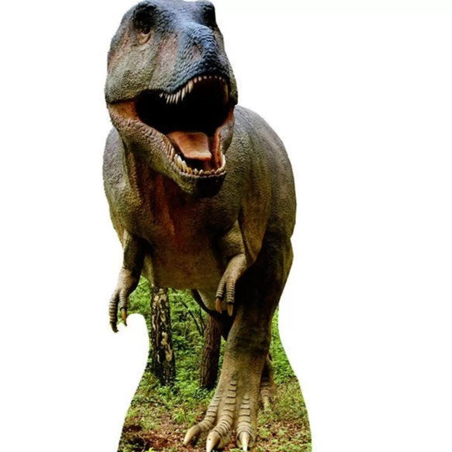 Best Sale Party Delights Giant T-Rex Cardboard Cutout - 186Cm X 81Cm