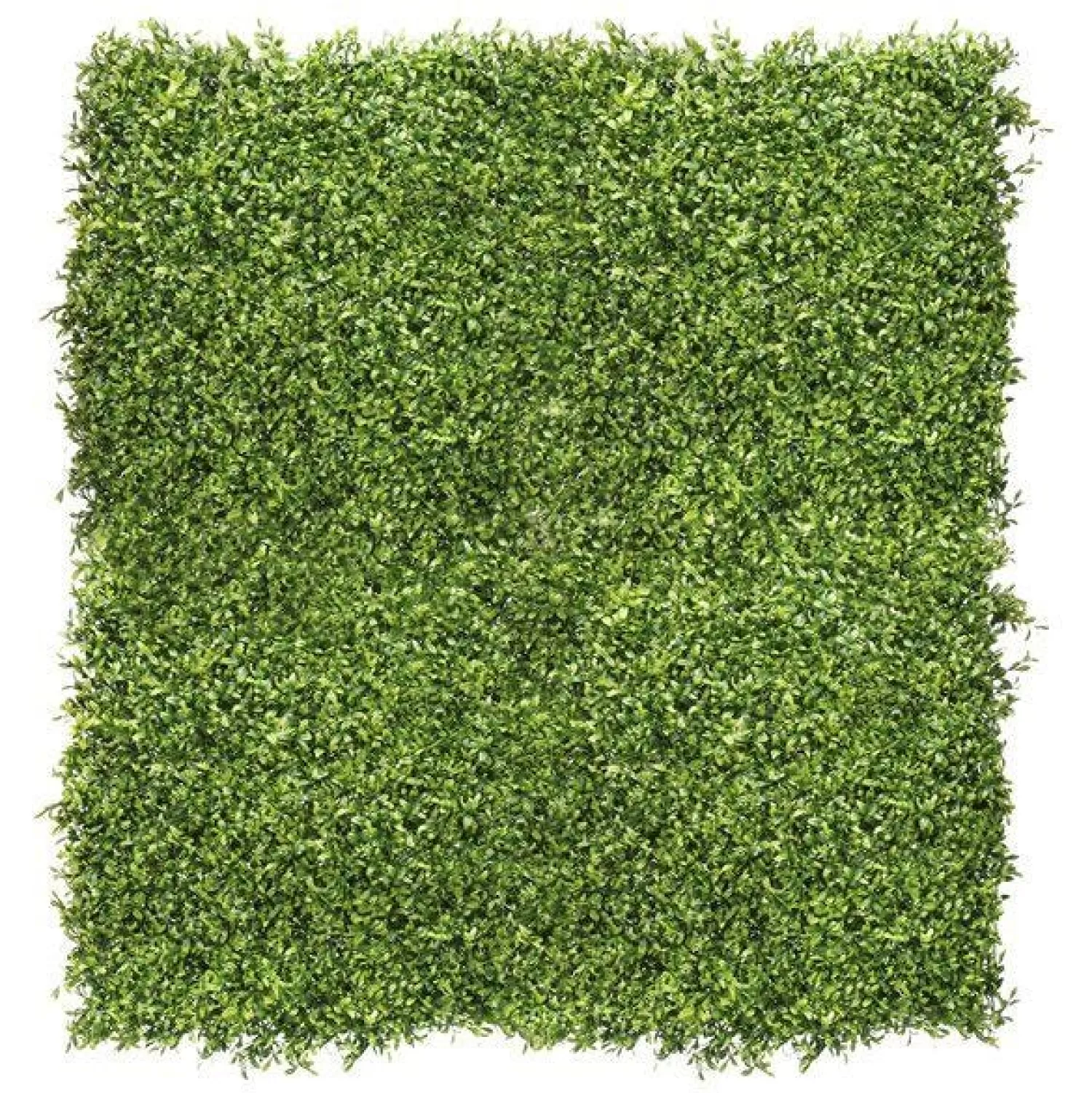 Best Party Delights Green Plant Wall Kit - 1M (4Pk)