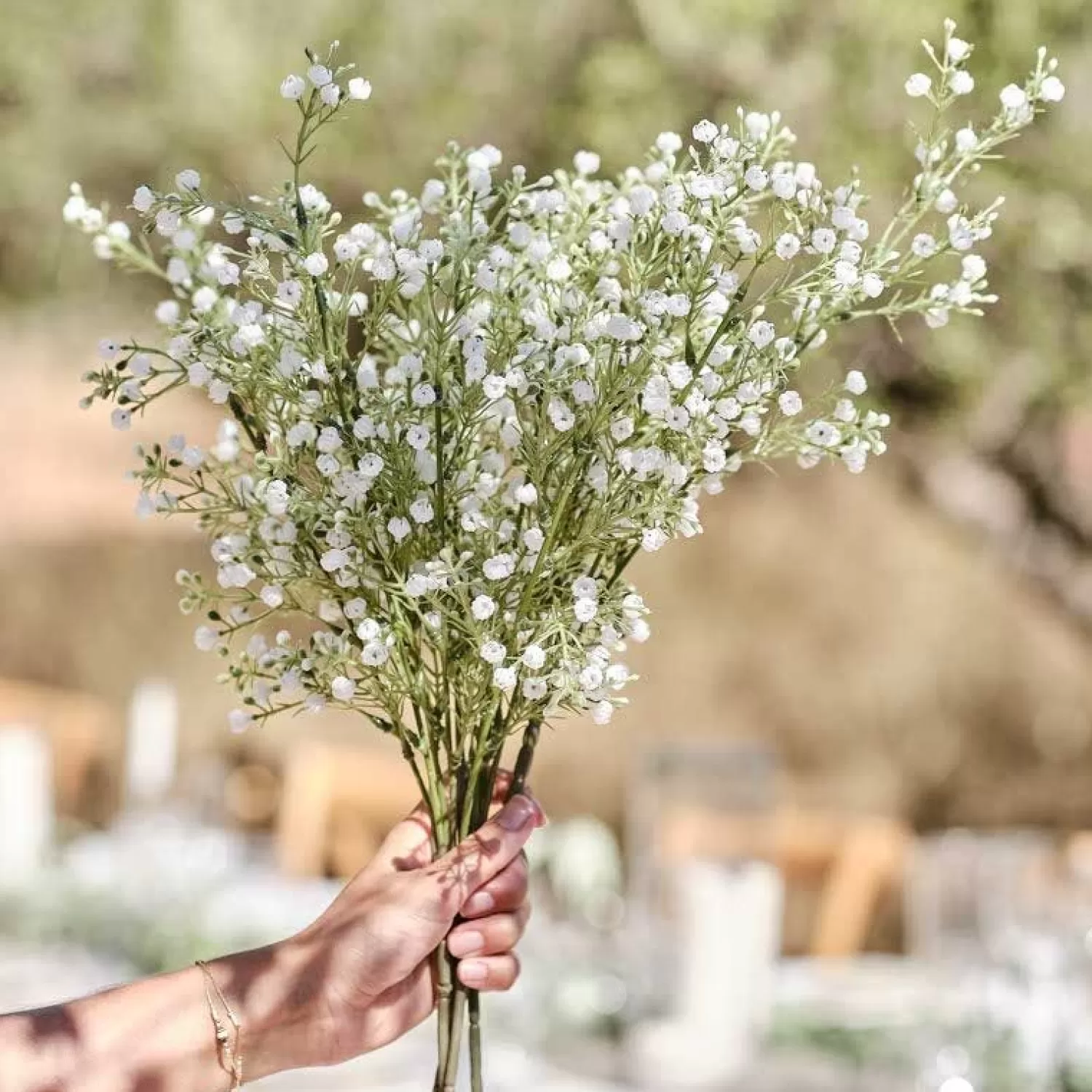 Best Sale Party Delights Gypsophilia Foliage Stems (5Pk)