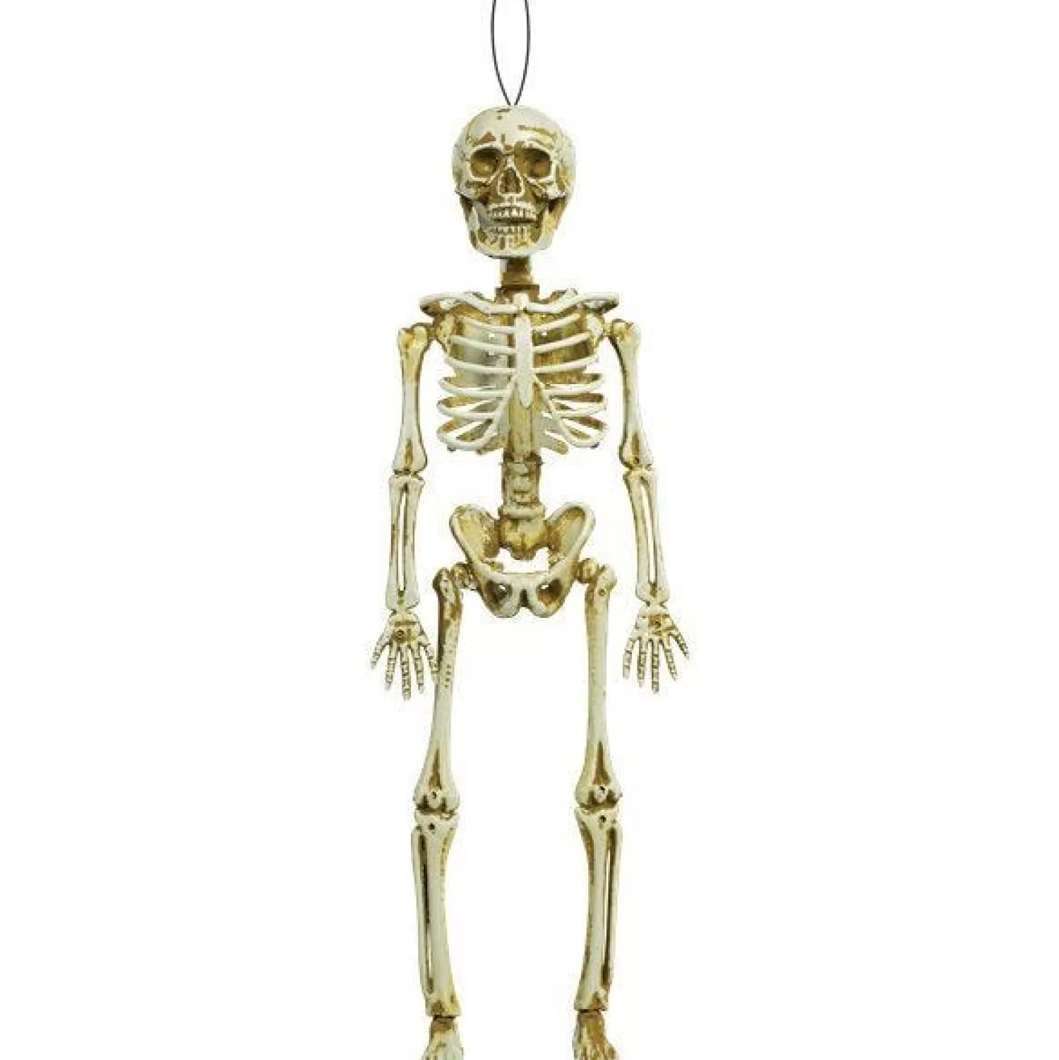 Hanging Skeleton - 39Cm<Party Delights Shop