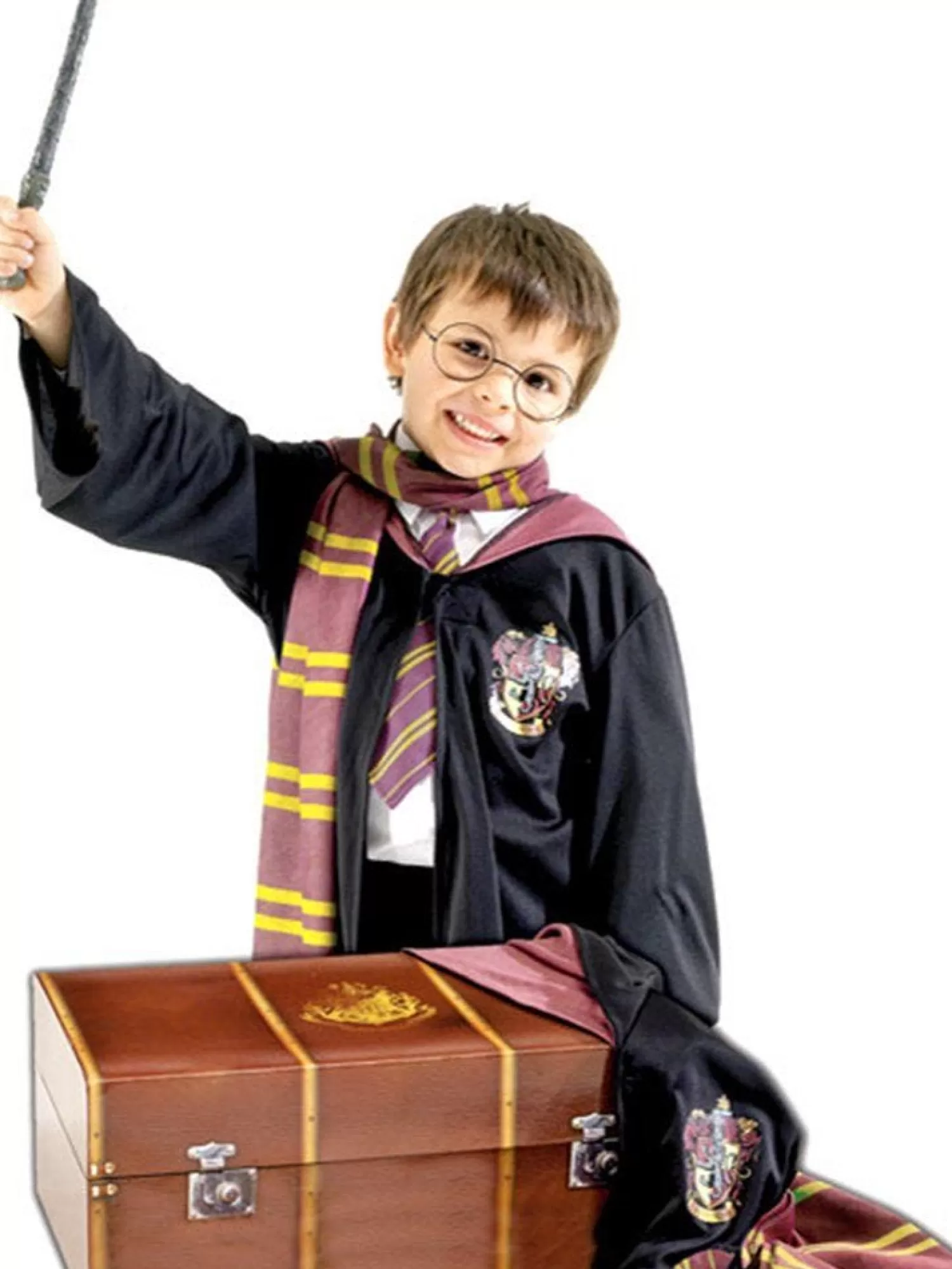 Harry Potter Trunk - Child Costume<Party Delights Cheap