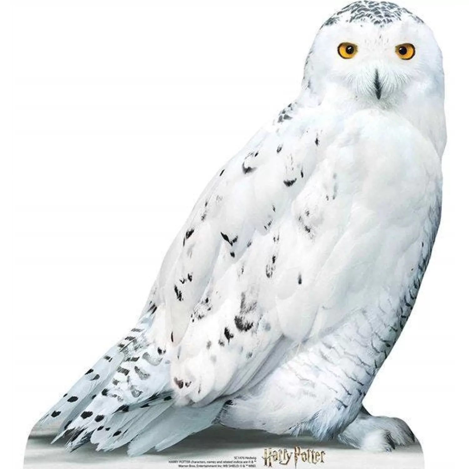 Best Party Delights Hedwig Harry Potter Cardboard Cutout - 74Cm X 67Cm