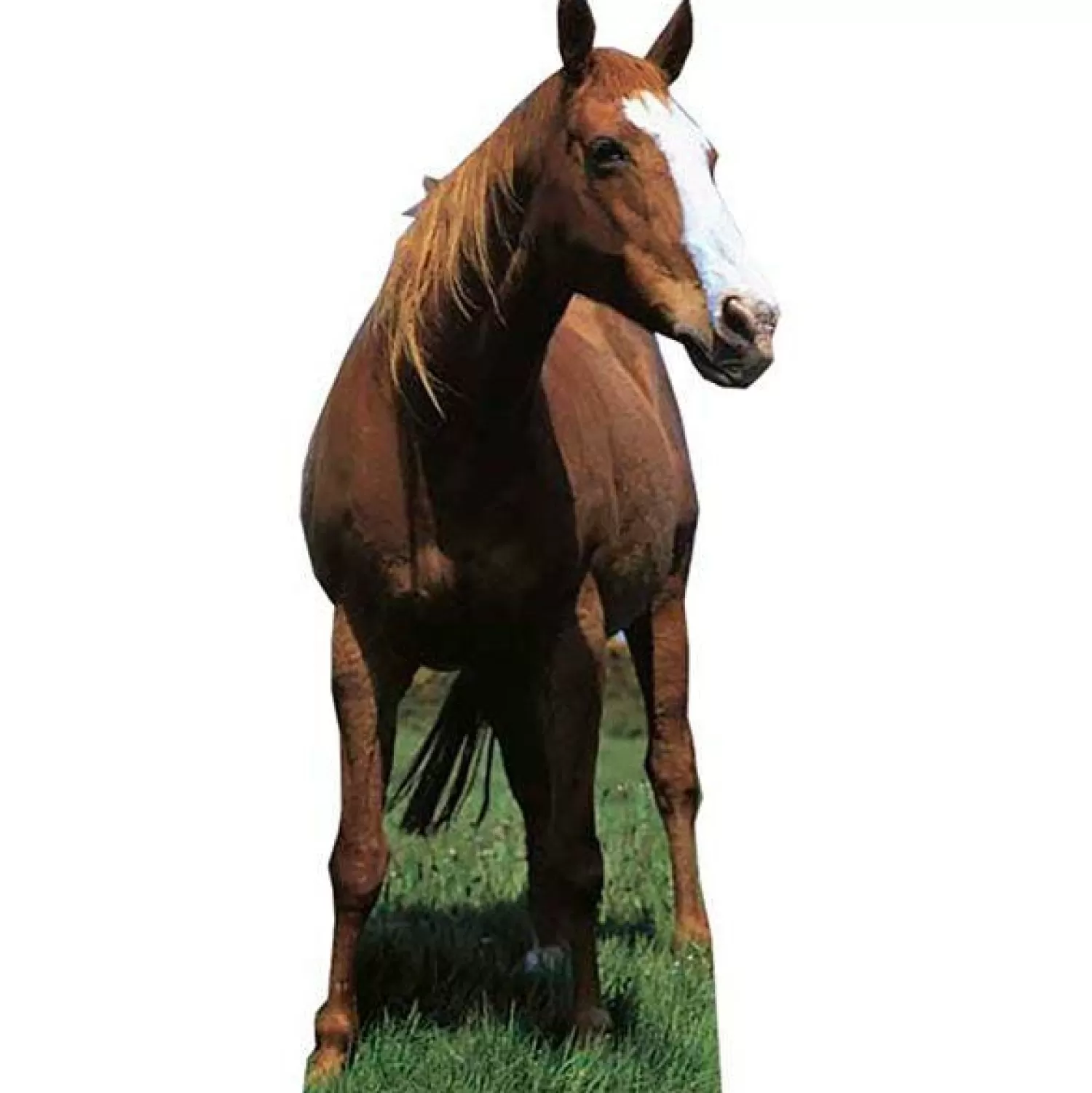 Cheap Party Delights Horse Cardboard Cutout - 190Cm X 80Cm