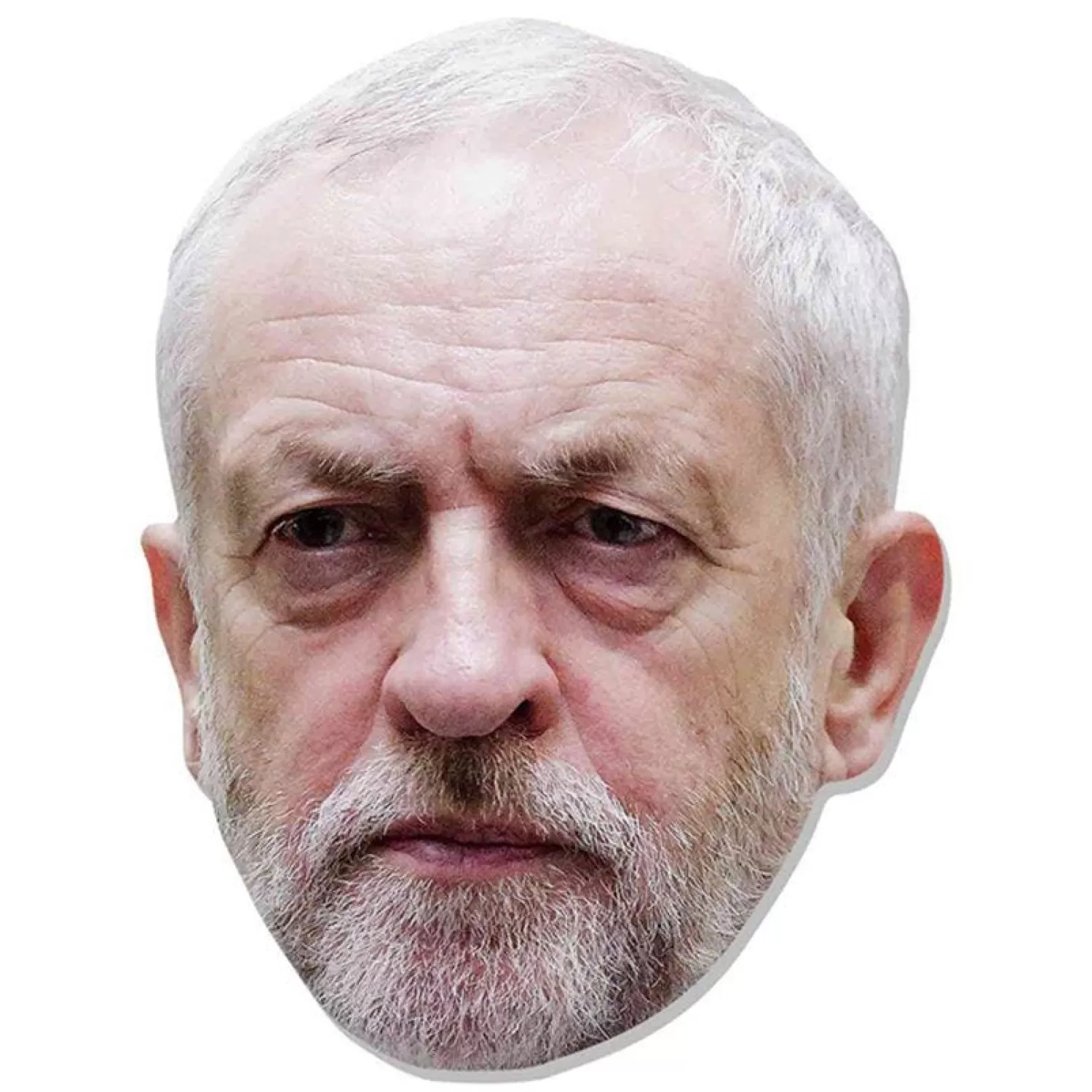 Store Party Delights Jeremy Corbyn Cardboard Mask