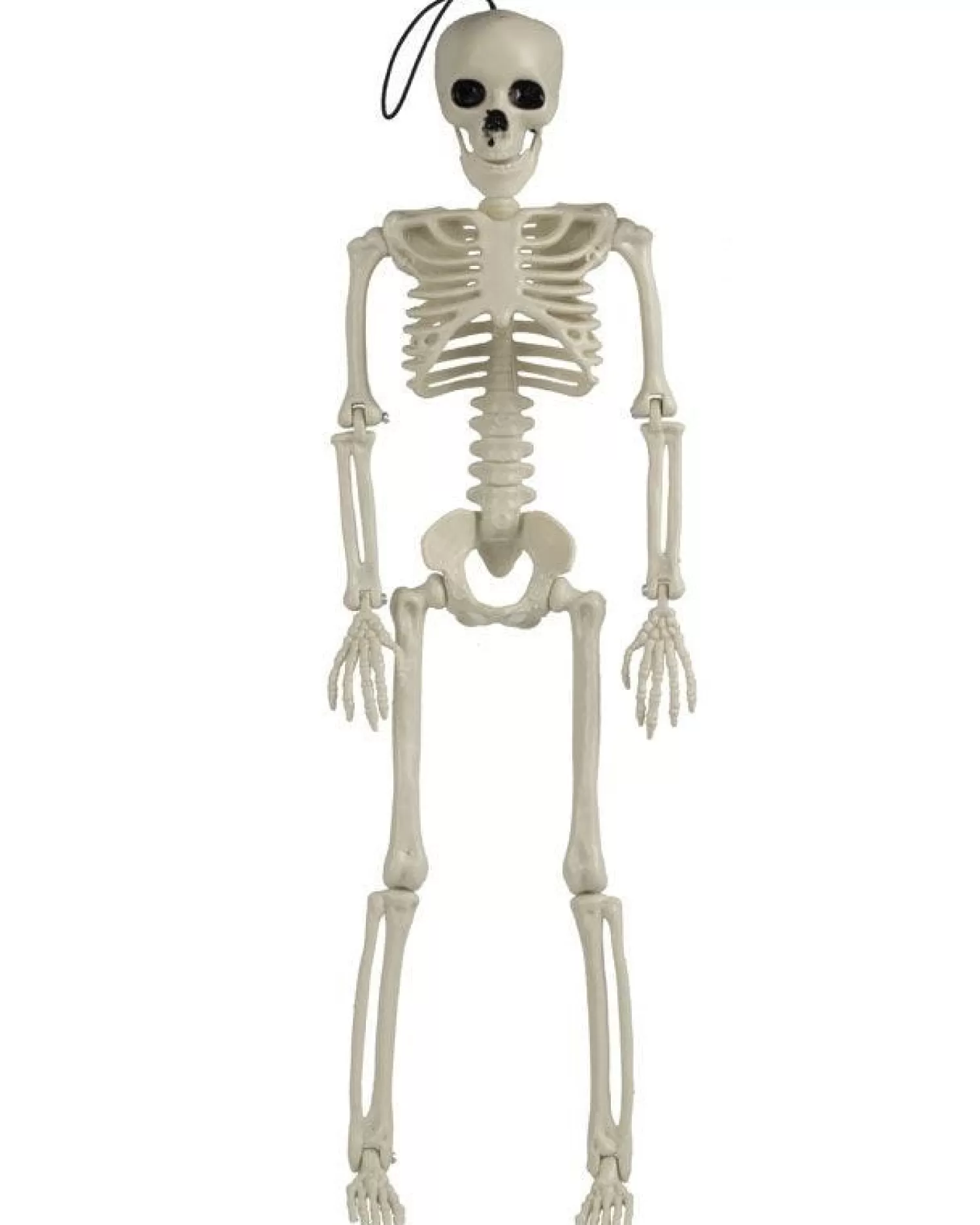 Large Skeleton Decoration<Party Delights Best Sale