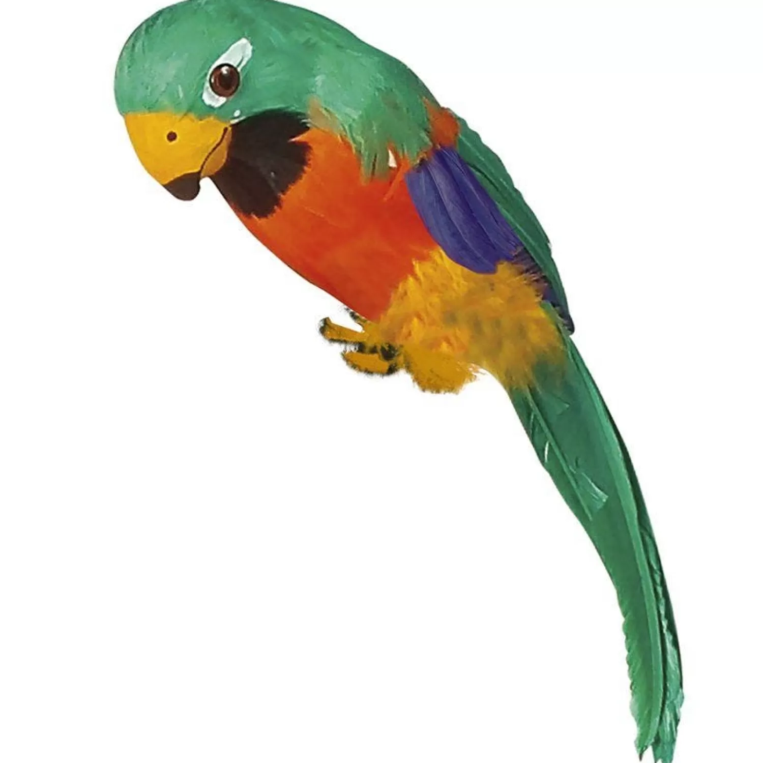 Online Party Delights Parrot - 38Cm