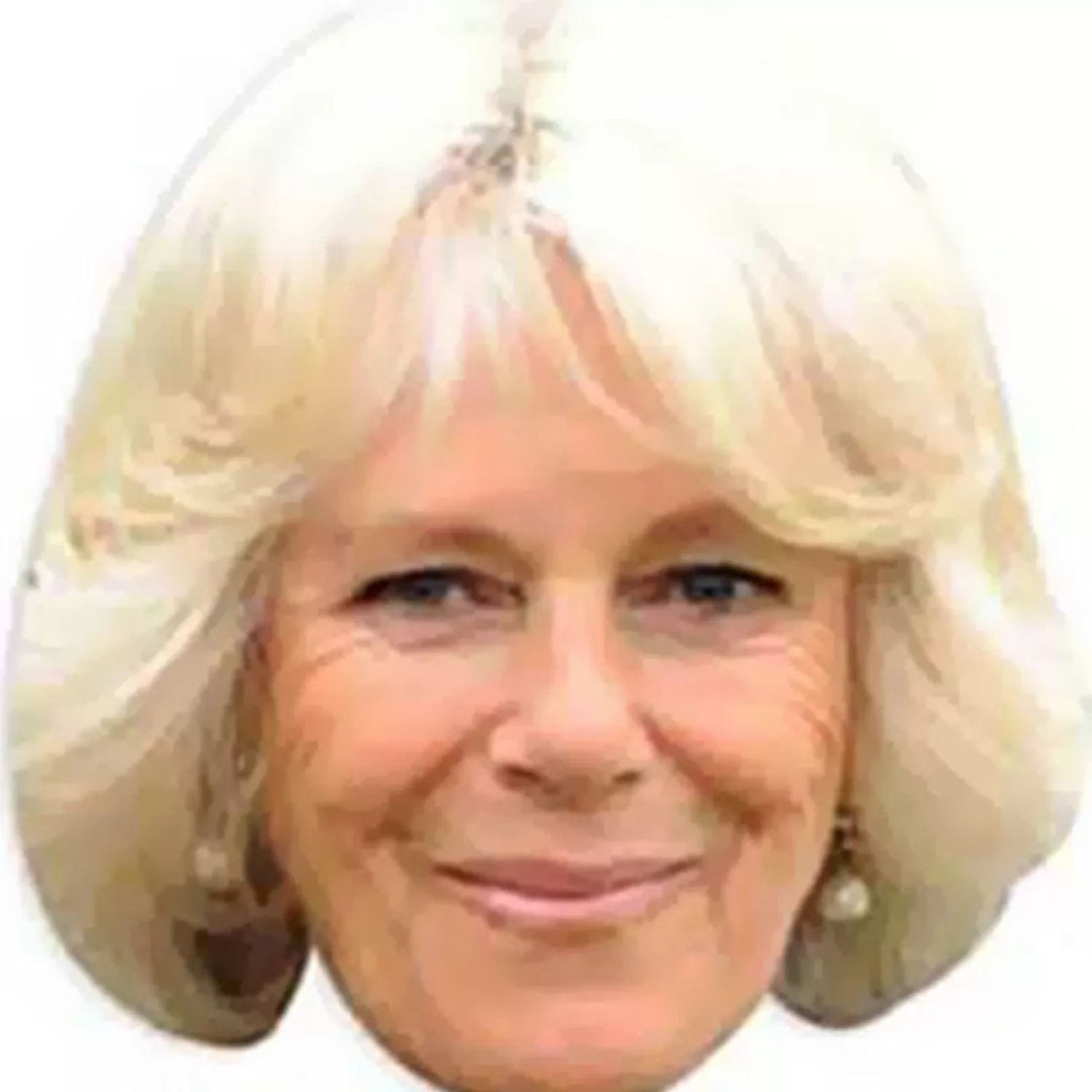 Outlet Party Delights Queen Consort Camilla Mask