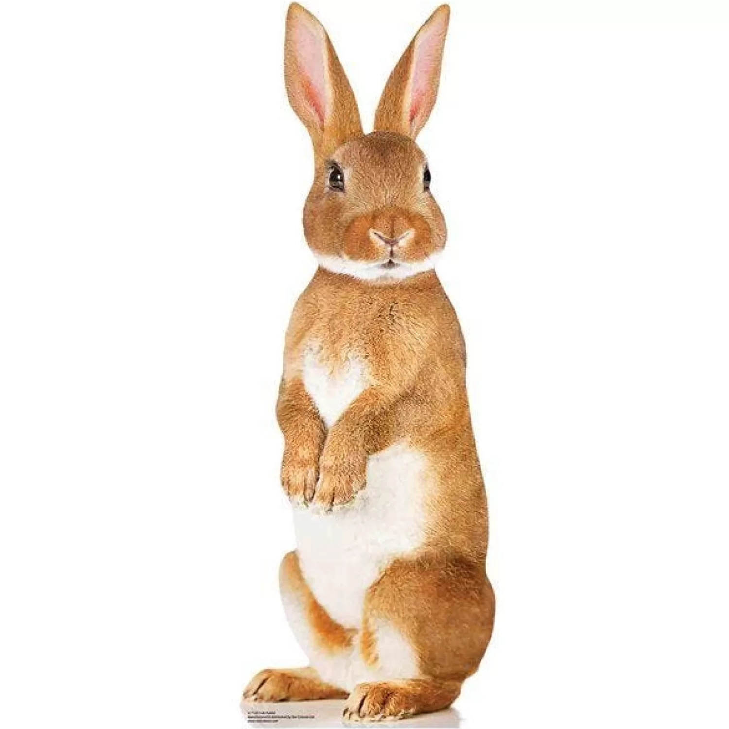 Fashion Party Delights Rabbit Cardboard Cutout - 90Cm X 33Cm