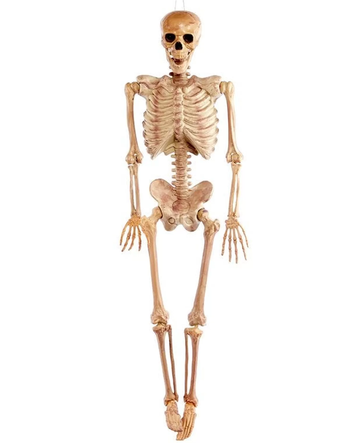 Realistic Skeleton - 1.5M Halloween Prop<Party Delights Flash Sale