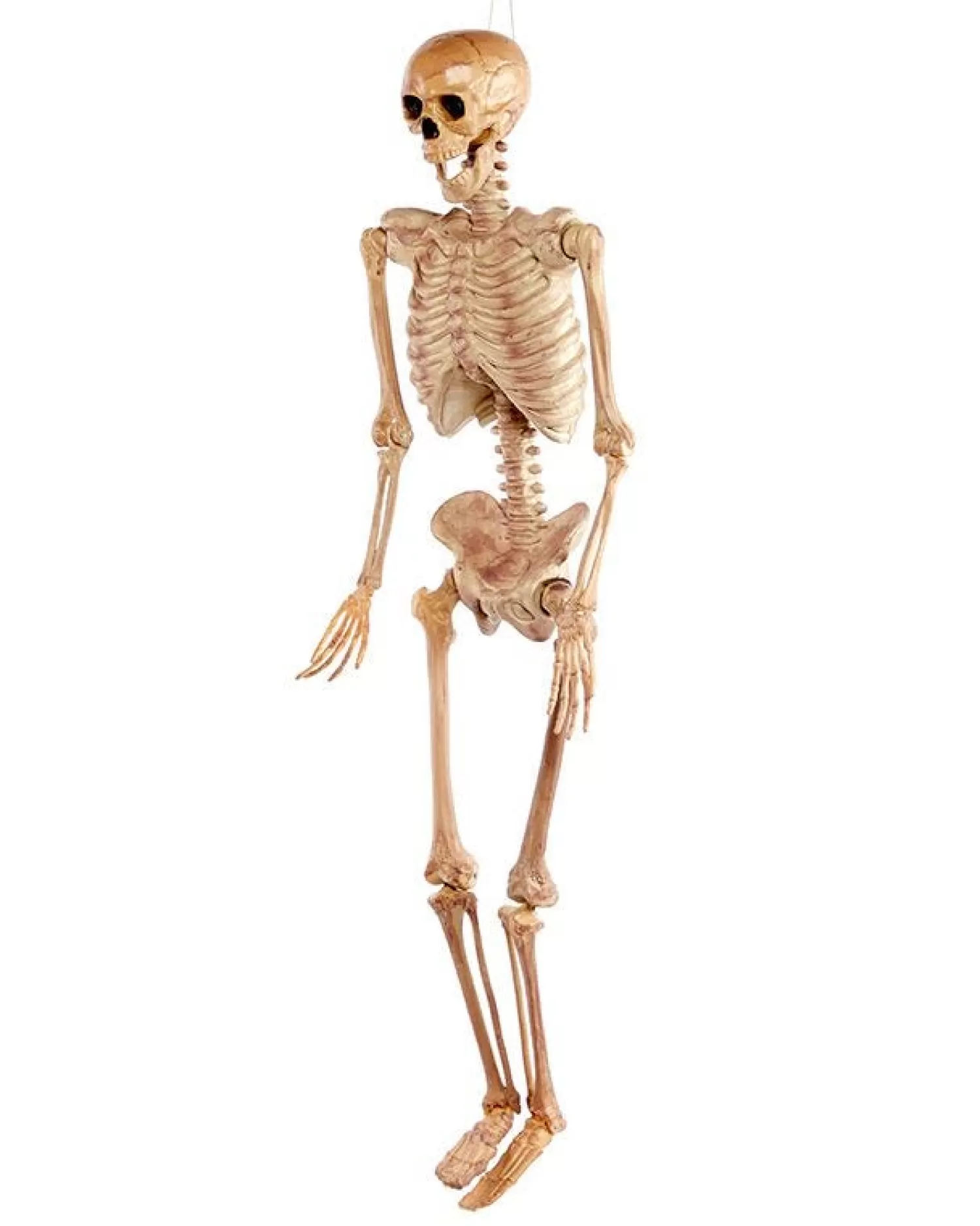 Realistic Skeleton - 1.5M Halloween Prop<Party Delights Flash Sale