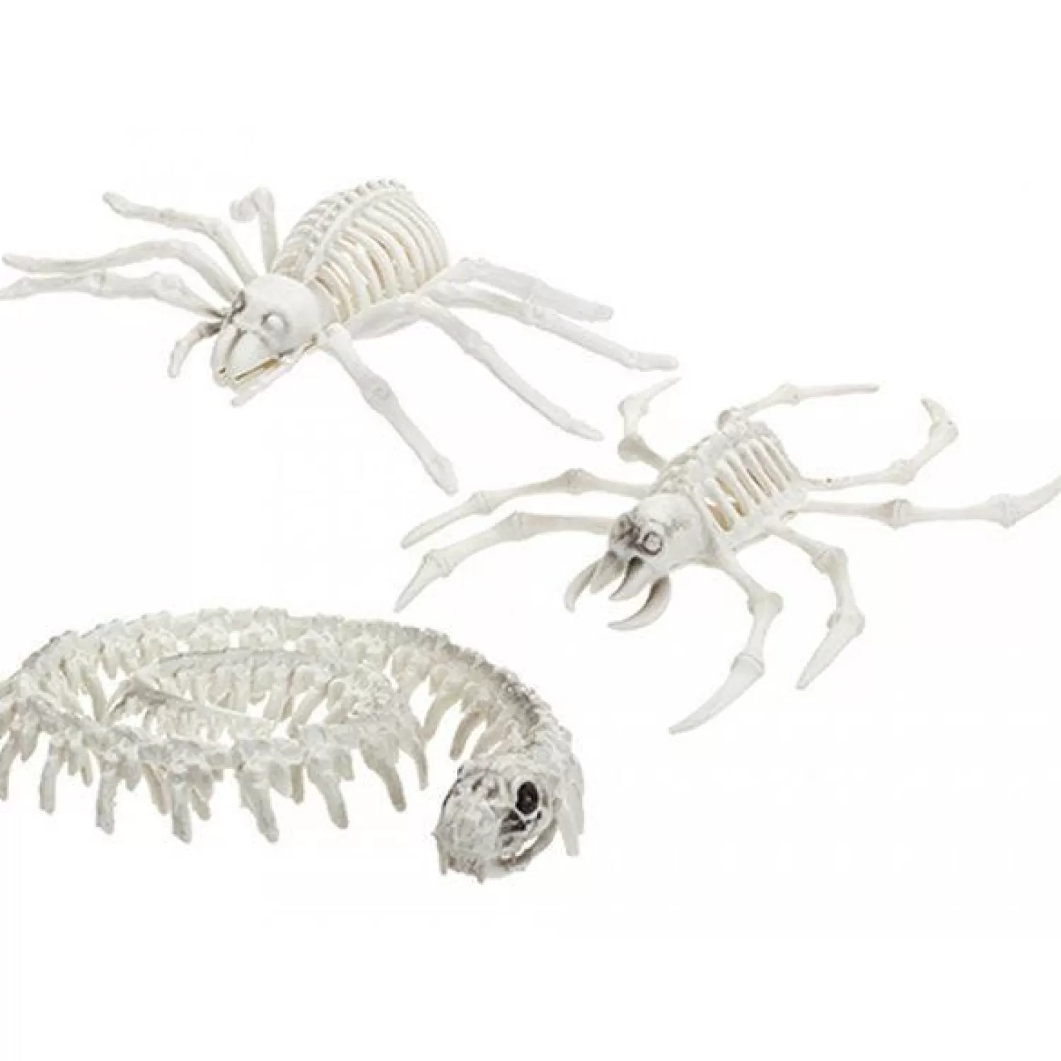 Skeleton Animals<Party Delights Outlet