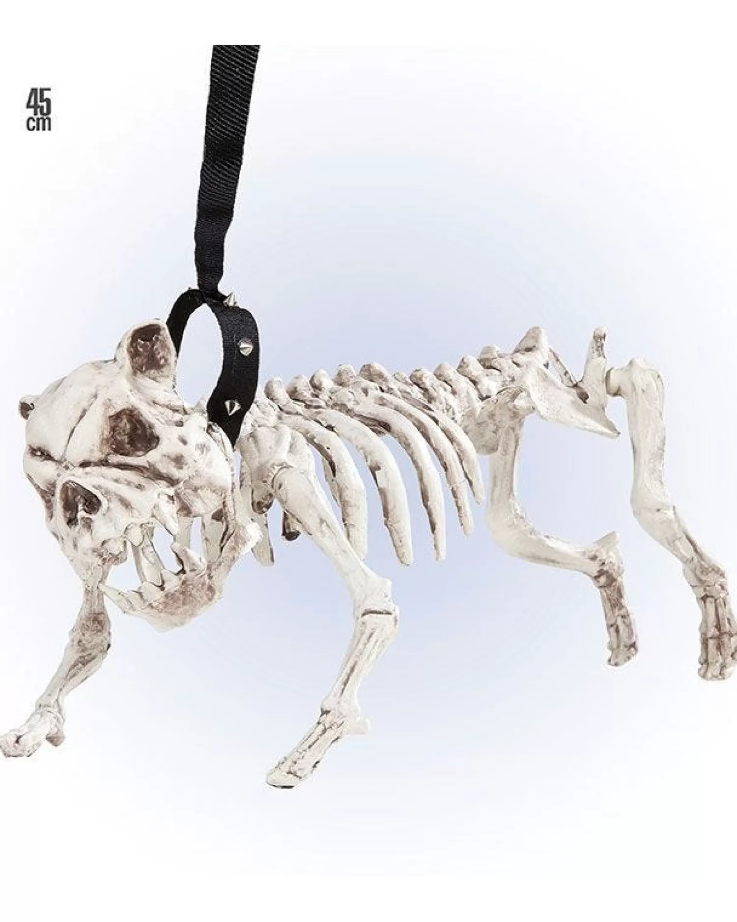 Skeleton Dog With Lead - 45Cm<Party Delights Discount